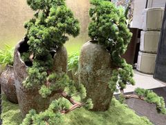 -九洲喜来登酒店湖月日餐厅