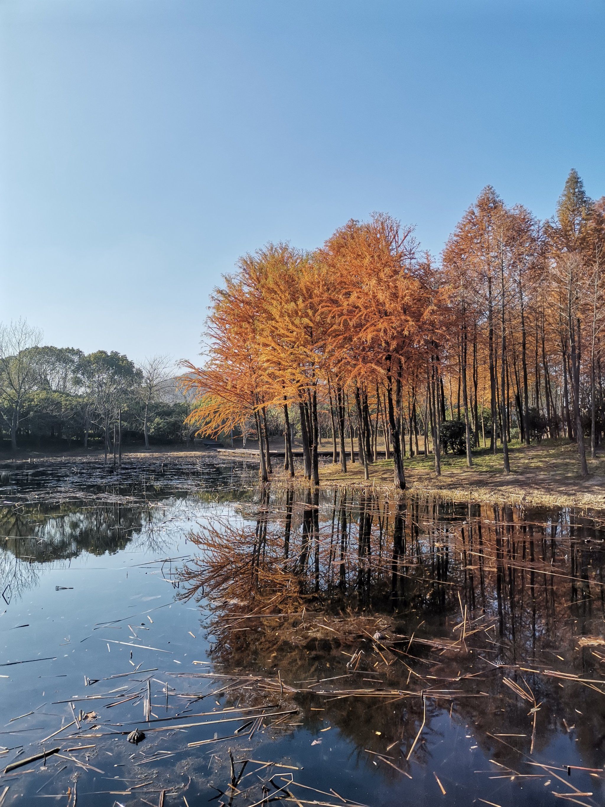 长广溪湿地公园