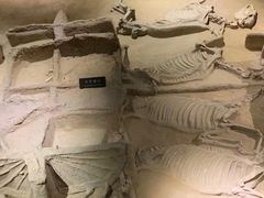 -洛阳周王城天子驾六博物馆