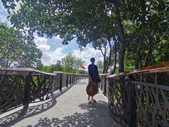 -东寨港红树林旅游区