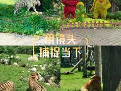 -西安秦岭野生动物园