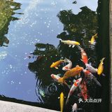 姑苏城的寒山寺