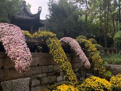 -无锡惠山寺
