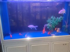 -咖啡人·融合餐厅(健康东路店)