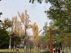 -沙河三洞古桥公园