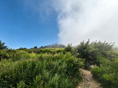-阳台山自然风景区