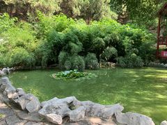 -原山国家森林公园