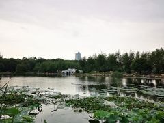 -长春市南湖公园