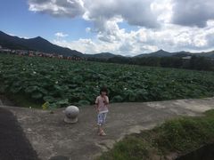 -古田会议纪念馆