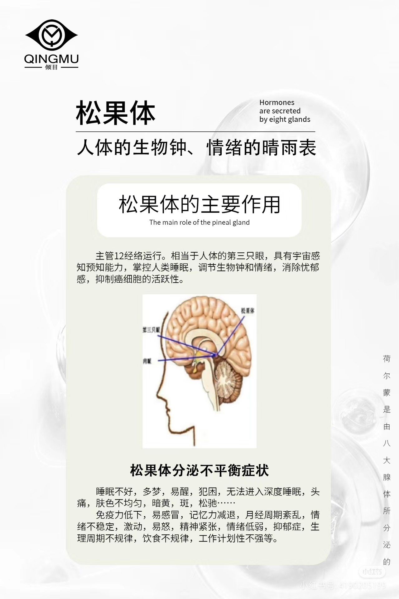 松果体的主要作用