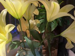 -都氏家DUSJOY(翡翠城店)