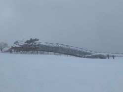 -大秃顶子山