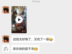 -瑞鹏宠物医院·骨科·猫科·内科(第一中心)