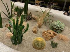 -OUR Bakery(SKP-S店)