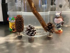 -Seesaw Coffee(上生新所店)