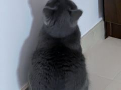 -粉小主·贵州酸汤牛肉粉(南京仙林金鹰店)