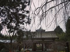 -西安青龙寺遗址景区