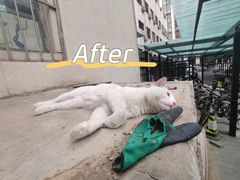 -萌兽医馆·犬猫专科·眼科中心·宠物医院(朝阳门分院)