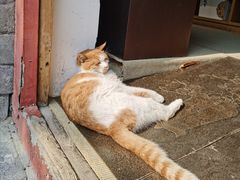 -故宫冰窖餐厅