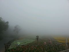 -东部华侨城