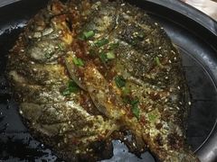 -龚海宝· 烧烤· 羊肉原切挂糊更好吃(庄市店)