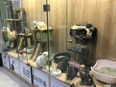-米卢宠物公园(广华居店)