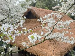 -中国茶叶博物馆(双峰馆区)