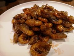 上海油爆虾-乔家栅(襄阳南路店)