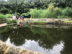 -成都市活水公园