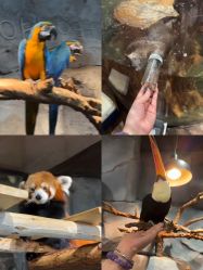 -Zoolung Zoolung动物主题公园(海信广场店)