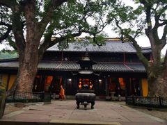 -阿育王寺