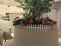 -LANN I 蘭 SPA(陆家嘴中心店)
