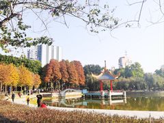 -金砂公园