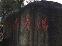 威廉的太妃糖酒店-威廉的太妃糖酒店(杭州西湖青芝坞店)