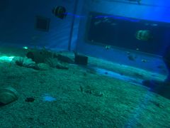 -北戴河圣蓝海洋公园