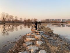 -大兴滨河森林公园