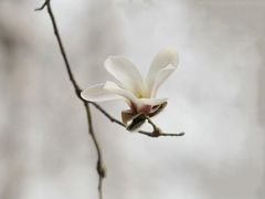 -东华门大街小区