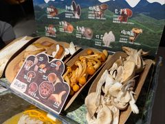 -芸山季·云南野生菌火锅(人民广场来福士店)