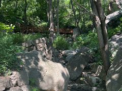 -大岭沟猕猴桃谷风景区