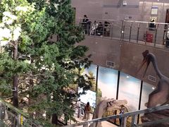 -湖南省地质博物馆