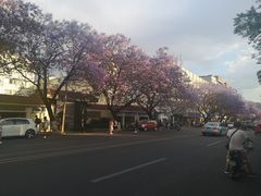 -杨记山珍鸡煲菌汤锅