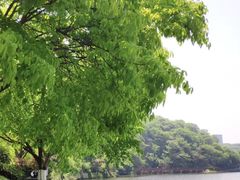 -重庆彩云湖湿地公园