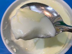 -德禄酸奶(莫家街店)