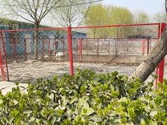 -宠物寄养训练学校