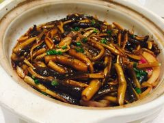-红豆杉庄会议中心
