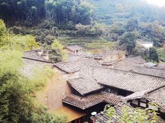 -杨家堂村