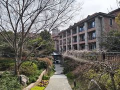-上海瑞金洲际酒店