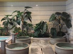 -御池园(顾村公园店)