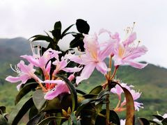 -广东天露山旅游度假区