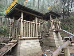 -南山植物园